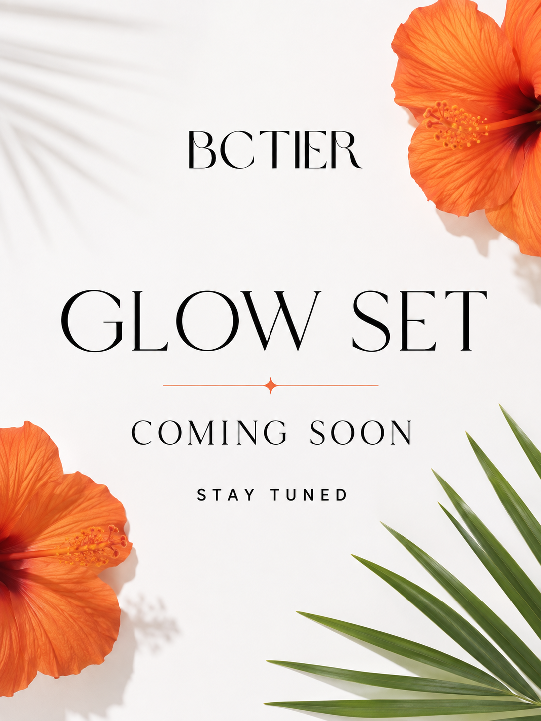 Set Iluminador BCTIER